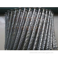 Hot Dipped Galvanized Ring Coil Nail